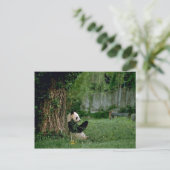 Giant Panda Postkarte (Stehend Vorderseite)