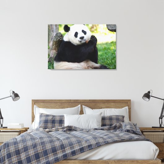 Giant Panda Sitting Leinwanddruck (Insitu (Schlafzimmer))