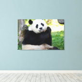 Giant Panda Sitting Leinwanddruck (Insitu (Holzboden))