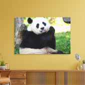 Giant Panda Sitting Leinwanddruck (Insitu (Wohnzimmer))
