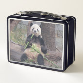 Giant Panda Tian Tian Metal Lunchbox (Rückseite)