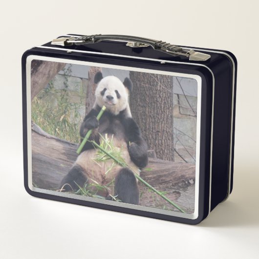 Giant Panda Tian Tian Metal Lunchbox (Rückseite)