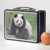 Giant Panda Tian Tian Metal Lunchbox (Beispiel)