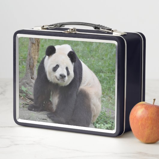 Giant Panda Tian Tian Metal Lunchbox (Beispiel)