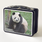 Giant Panda Tian Tian Metal Lunchbox (Vorderseite)