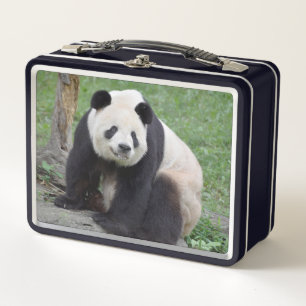 Giant Panda Tian Tian Metal Lunchbox