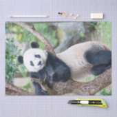 Giant Panda Tissue Paper / Decoupage Paper Seidenpapier (Handwerk)