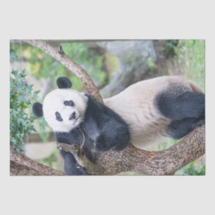 Giant Panda Tissue Paper / Decoupage Paper Seidenpapier