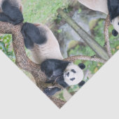 Giant Panda Tissue Paper / Decoupage Paper Seidenpapier (Detail)