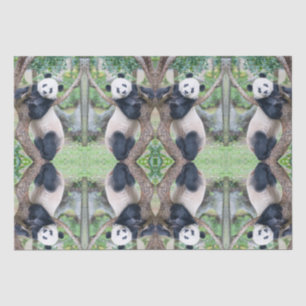 Giant Panda Tissue Paper / Decoupage Paper Seidenpapier