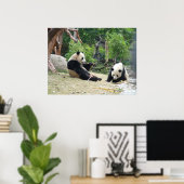 Giant Panda und Bamboo Poster (Heimbüro)