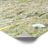 Giant Panda und Bamboo Poster (Ecke)