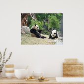 Giant Panda und Bamboo Poster (Küche)