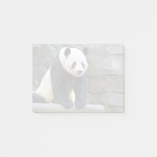 Giant Panda Yang Yang im Zoo Atlanta Post-it Klebezettel (Vorderseite)