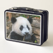 Giant Pandas Mei Xiang und Xiao Qi Ji Lunch Box (Rückseite)