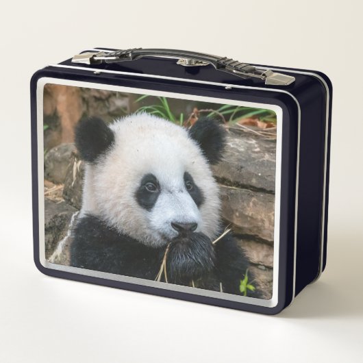 Giant Pandas Mei Xiang und Xiao Qi Ji Lunch Box (Rückseite)