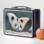 Giant Pandas Mei Xiang und Xiao Qi Ji Lunch Box (Beispiel)
