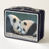 Giant Pandas Mei Xiang und Xiao Qi Ji Lunch Box (Vorderseite)