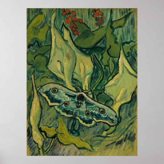 Giant Peacock Moth Vincent van Gogh 1889 Poster (Vorne)