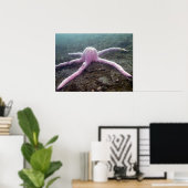 Giant Pink Star (Pisaster brevispinus) Poster (Heimbüro)