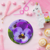 Giant pong Pansy Fills dies Pappteller (Party)