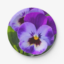 Giant pong Pansy Fills dies