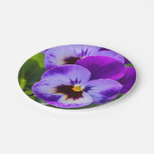 Giant pong Pansy Fills dies Pappteller (Schrägansicht)