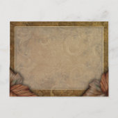 Giant Pumpkin Postcard Postkarte (Rückseite)