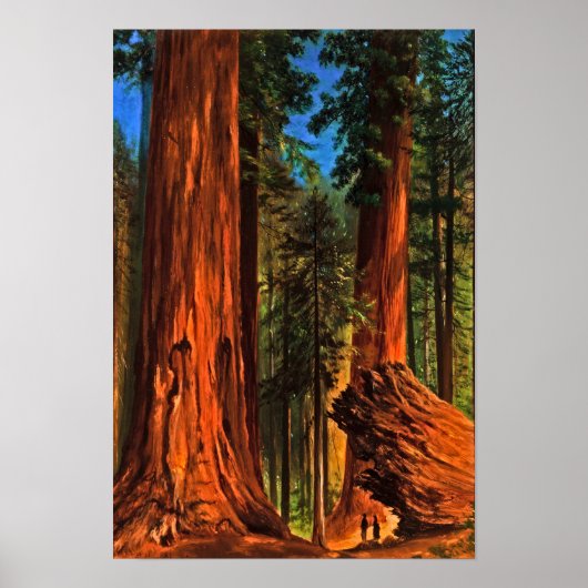 Giant Redwood Forest Trees Yosemite Valley Cali Poster (Vorne)