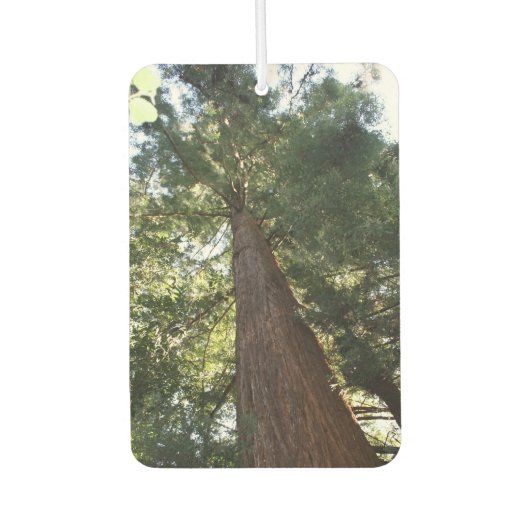 Giant Redwood Sequoia Treetop Muir Woods Forest Autolufterfrischer (Vorderseite)