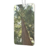 Giant Redwood Sequoia Treetop Muir Woods Forest Autolufterfrischer (Links)