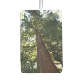 Giant Redwood Sequoia Treetop Muir Woods Forest Autolufterfrischer (Rückseite)