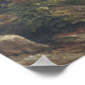 Giant Redwood Trees of California Poster (Ecke)