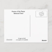 Giant Redwood Trees Postkarte (Rückseite)