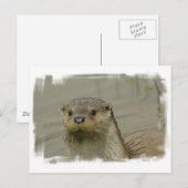 Giant River Otter Postcard Postkarte (Vorne/Hinten)