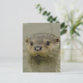 Giant River Otter Postcard Postkarte (Stehend Vorderseite)