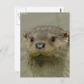 Giant River Otter Postcard Postkarte (Vorne/Hinten)