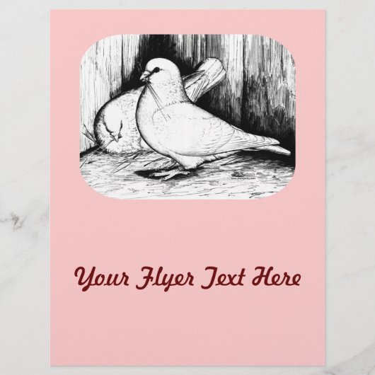 Giant Runt Pigeons Flyer (Vorne)