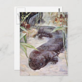 Giant Salamander Art Postkarte (Vorne/Hinten)