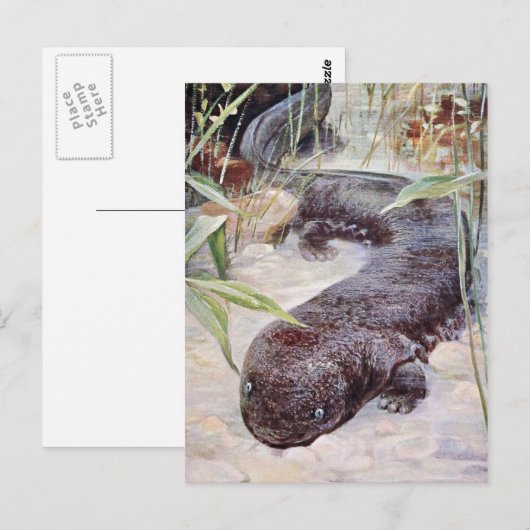 Giant Salamander Art Postkarte (Vorne/Hinten)