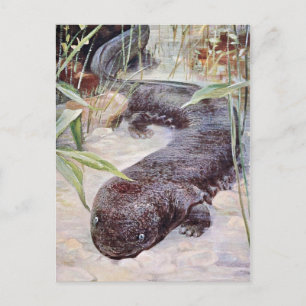 Giant Salamander Art Postkarte