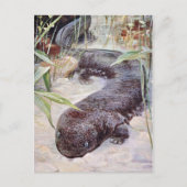 Giant Salamander Art Postkarte (Vorderseite)