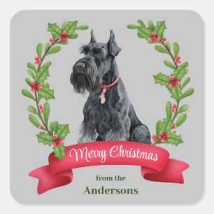 Giant Schnauzer Dog Holly Banner Weihnachten Quadratischer Aufkleber