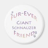Giant Schnauzer Furever Magnet (Vorne)