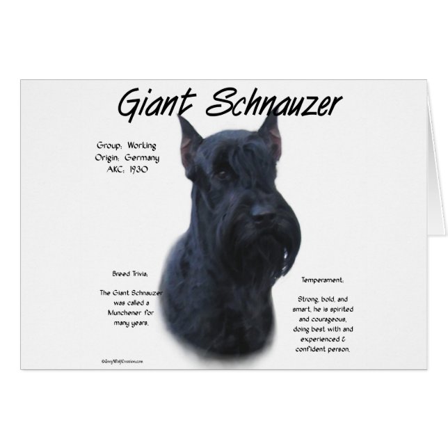 Giant Schnauzer Geschichtsdesign (Vorderseite (Horizontal))