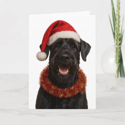 Giant Schnauzer in a Santa hat Christmas card Karte (Vorderseite)