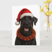 Giant Schnauzer in a Santa hat Christmas card Karte (Gelbe Blume)