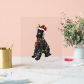 Giant Schnauzer Lover Xmas Santa Giant Schnauzer C Acrylschild (Hochzeit)
