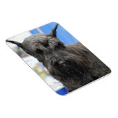 Giant Schnauzer Magnet (Rechte Seite)