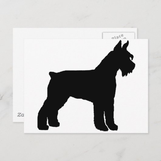 Giant Schnauzer (schwarz) Postkarte (Vorne/Hinten)